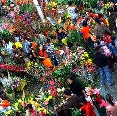 行花街买花忙