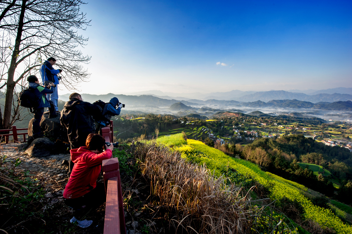 油菜花开一汉中汉山