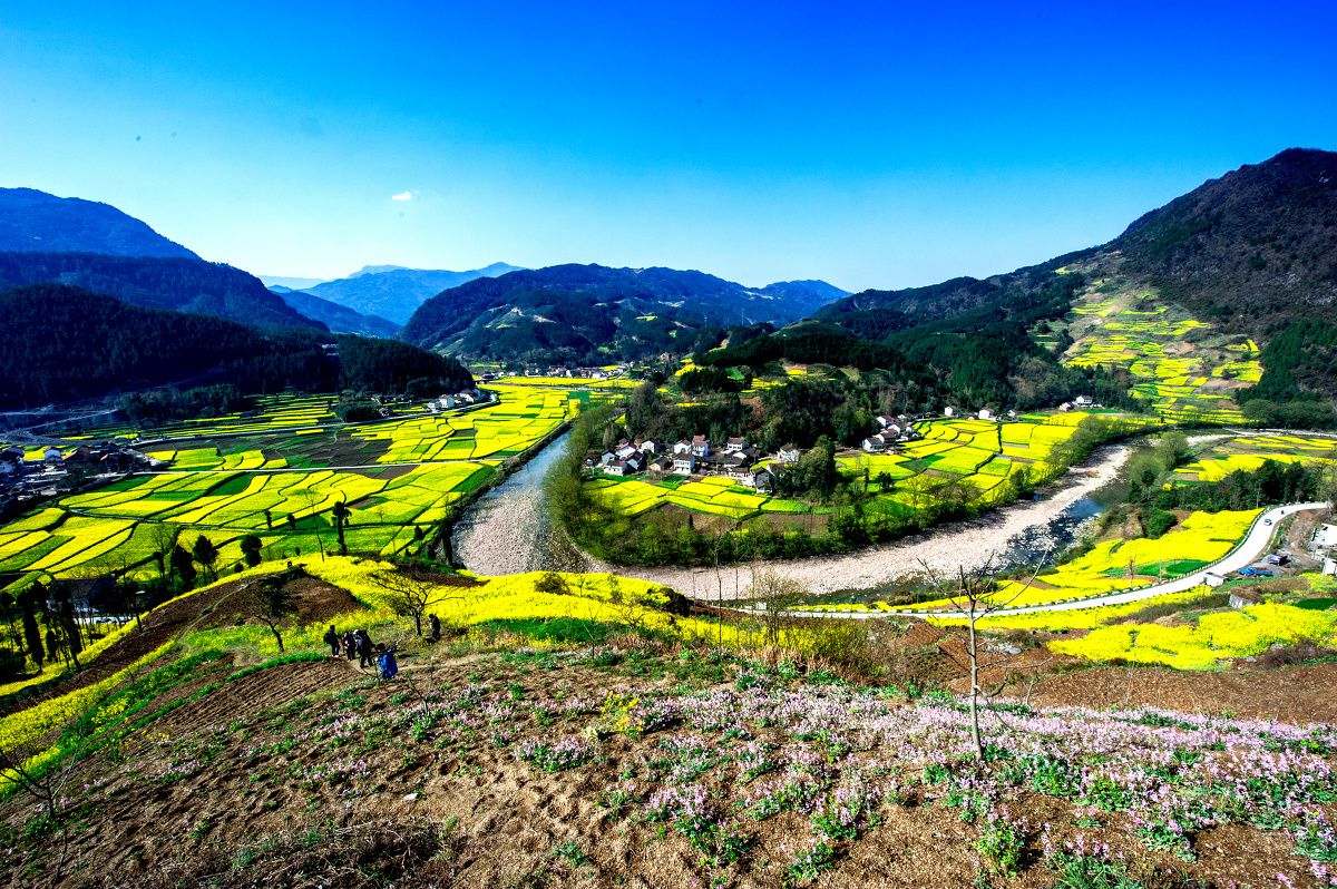 草长莺飞打一生肖 草长莺飞一天下一句-万县网