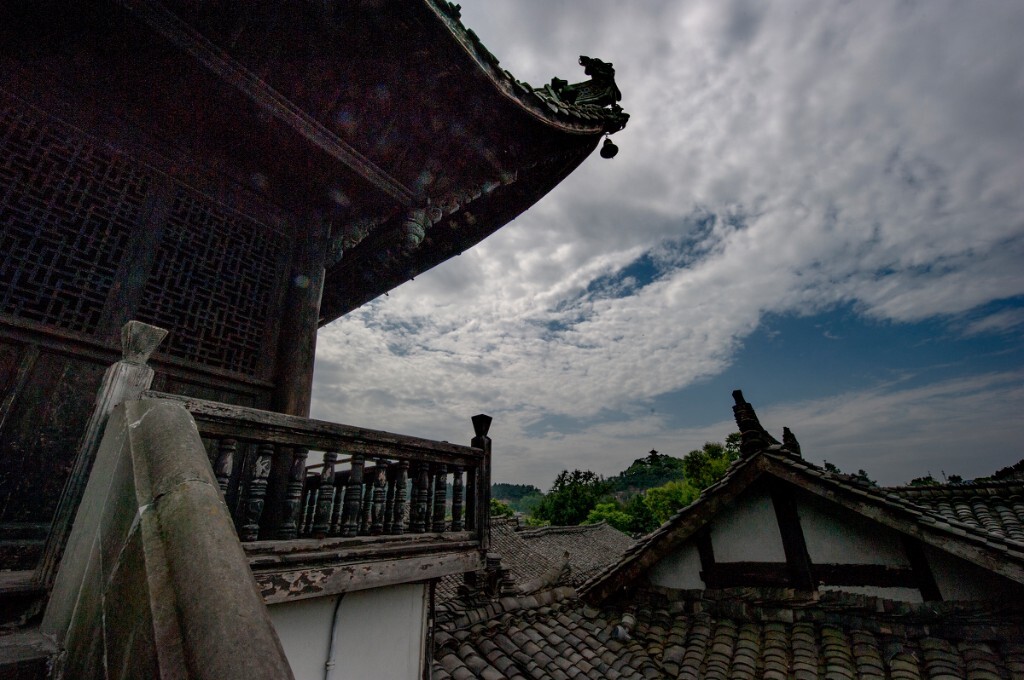 阆中古城三阆苑仙葩