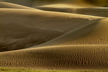 IMG_0407 2