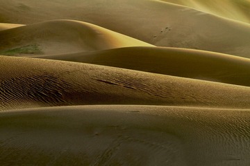 IMG_0408 2
