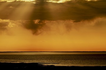 IMG_0421 2