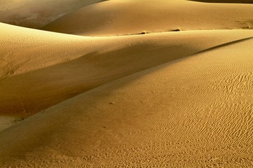 IMG_0409 2