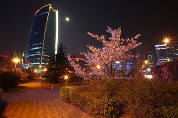 PH4A0487_