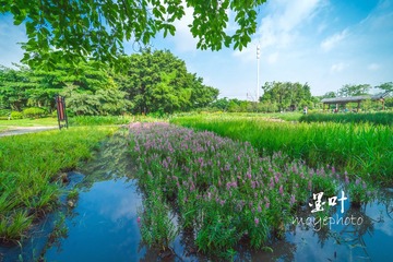 DSC04142-2