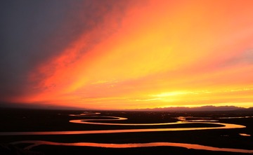 IMG_1264x