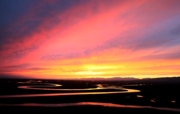 IMG_1278x
