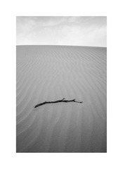 IMG_1550_1x
