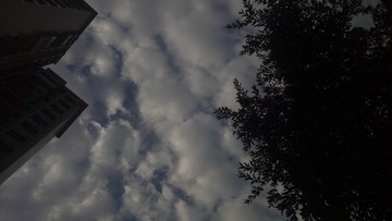1039023