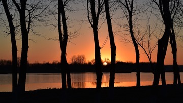 DSC_2928 (2)