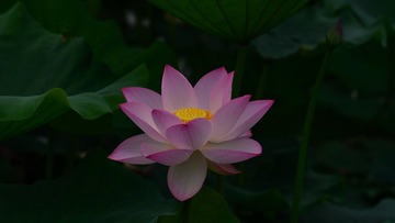 DSC_3046_00002