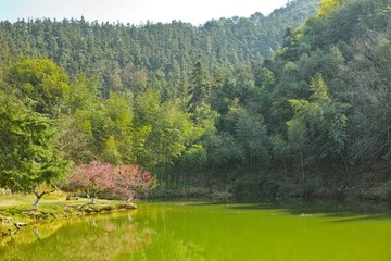 DP2M0770