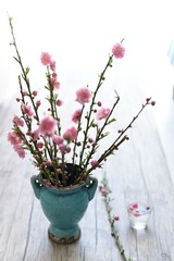 JJZ_0840