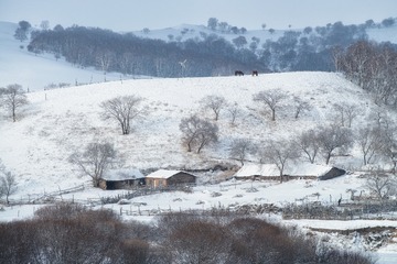_DSC689311