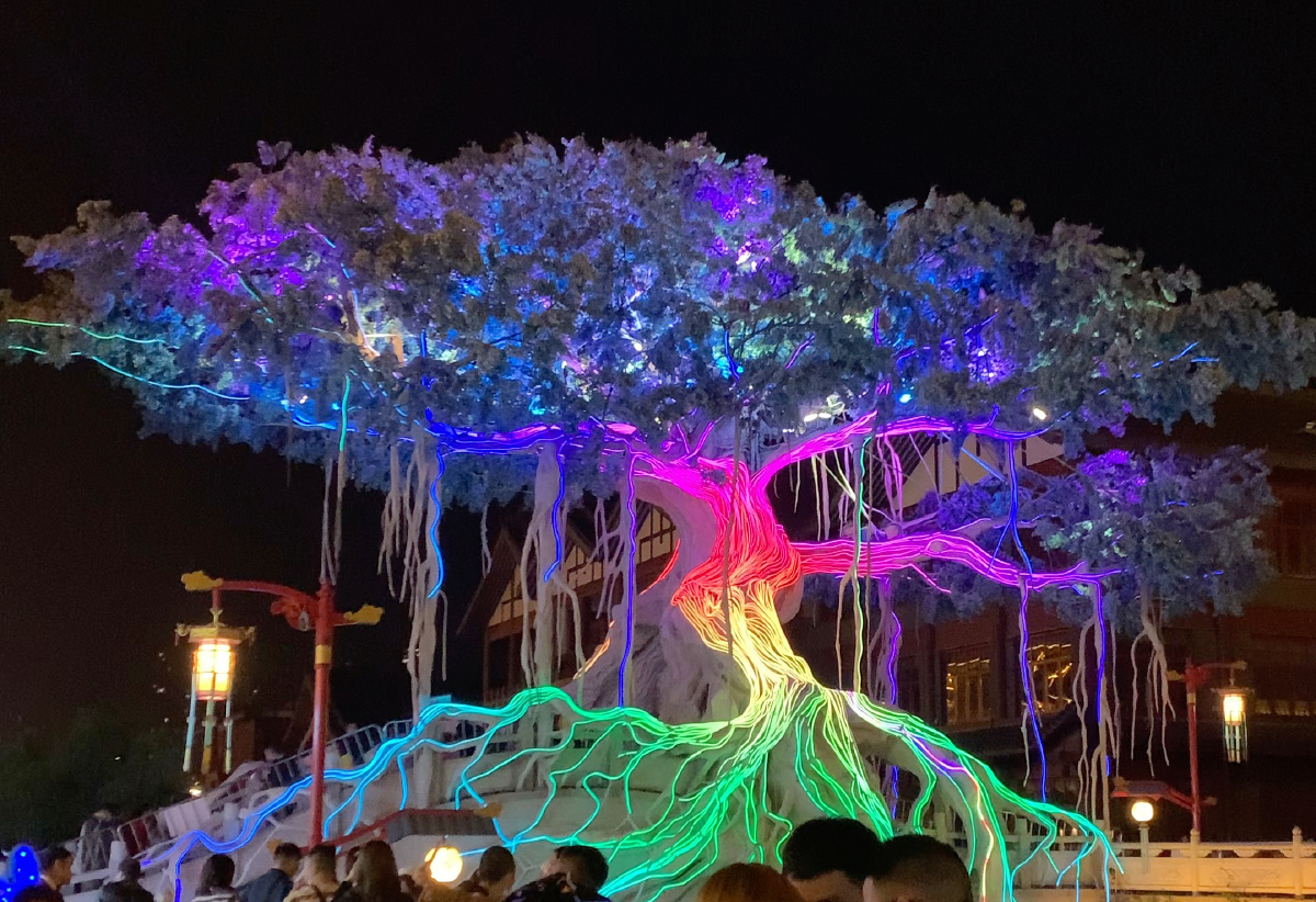 树- 陈皮麦芽糖 - 图虫