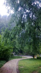 WP_20160623_017