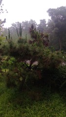 WP_20160623_022