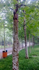 WP_20160623_023