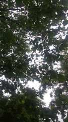 WP_20160623_024