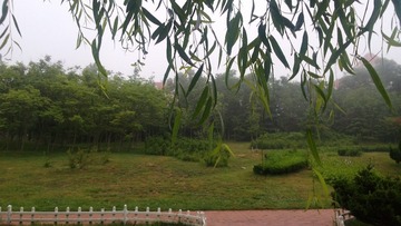 WP_20160623_040