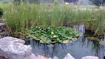 WP_20160623_039