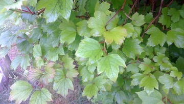 WP_20160623_053