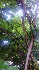 WP_20160623_038