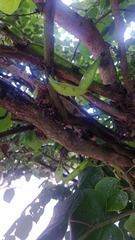 WP_20160623_037
