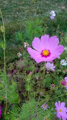 WP_20160623_099