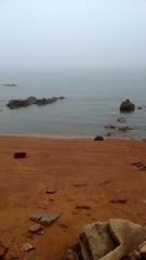 WP_20160623_091