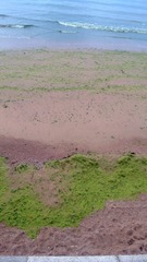 WP_20160802_061
