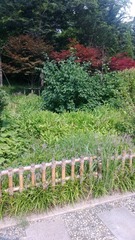 WP_20160803_006
