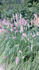 WP_20160803_011