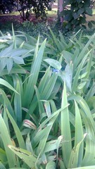 WP_20160803_033