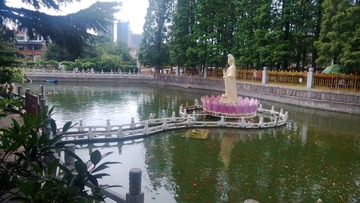 WP_20160803_053