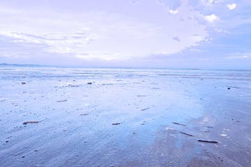 DSC00933 (1)
