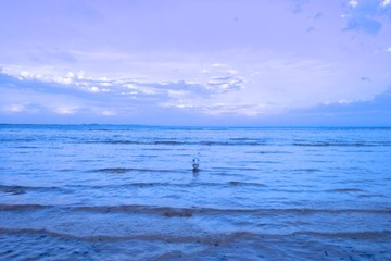 DSC00939 (1)