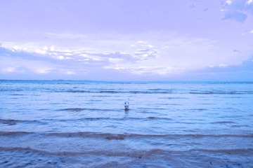 DSC00939 (2)