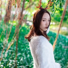 DSC04628S
