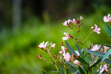 20170330-5