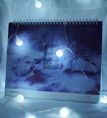 SONY9