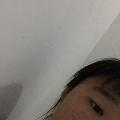 25310