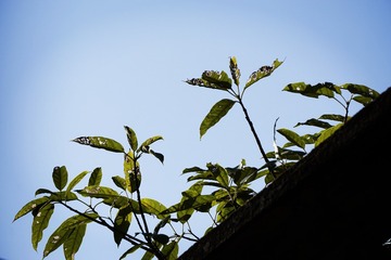 _DSC0551_
