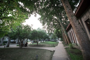 小院6