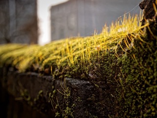 P1030774_DxO