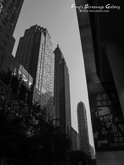 IMG_6979h