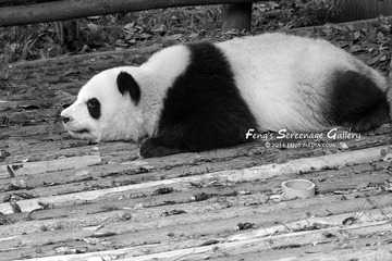 DSC_5070h_72