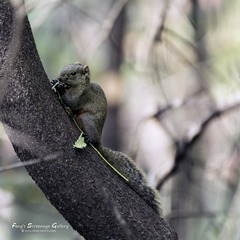 DSC_27932_72