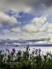 IMG_1990_72